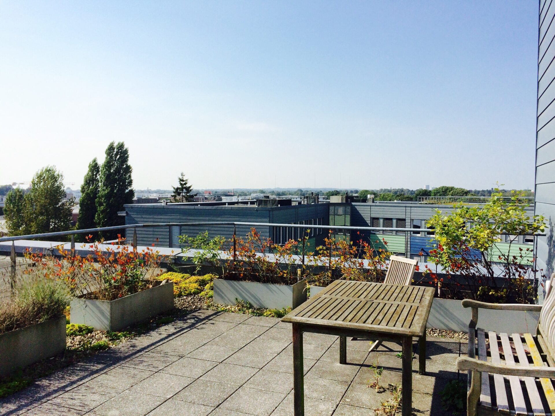 Terrasse 1